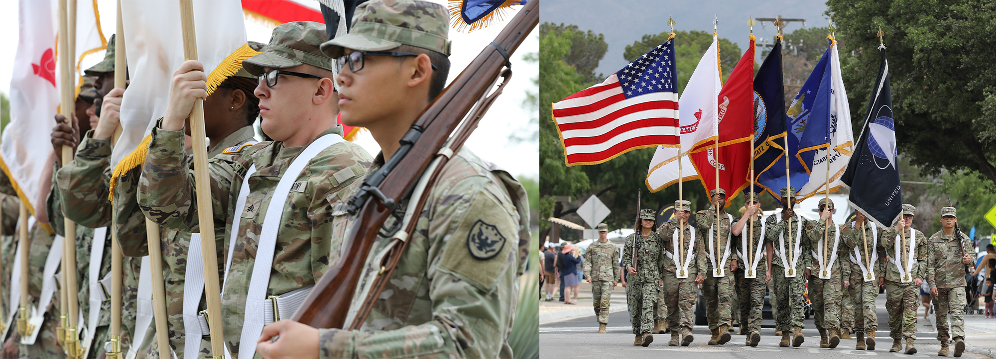 Armed Forces Day Parade 